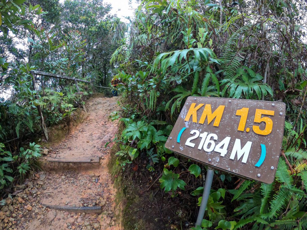 Trasa prowadząca na szczyt Mount Kinabalu.